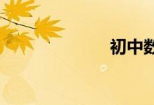 初中數(shù)學(xué)解方程