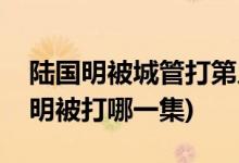 陸國(guó)明被城管打第幾集(我們的快樂人生陸國(guó)明被打哪一集)
