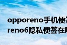opporeno手機(jī)便簽可以設(shè)置密碼嗎（opporeno6隱私便簽在哪里）