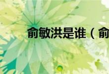 俞敏洪是誰(shuí)(俞敏洪個(gè)人資料簡(jiǎn)介)