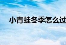 小青蛙冬季怎么過(guò)冬(小青蛙怎么過(guò)冬)