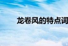 龍卷風(fēng)的特點(diǎn)詞語(yǔ)（龍卷風(fēng)的特點(diǎn)）
