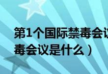 第1個國際禁毒會議是在哪里（第1個國際禁毒會議是什么）