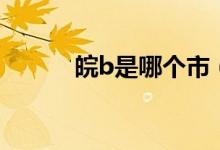 皖b是哪個(gè)市（皖b是哪個(gè)城市）