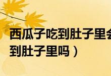 西瓜子吃到肚子里會長出西瓜嗎（西瓜子能吃到肚子里嗎）