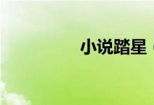 小說(shuō)踏星(小說(shuō)推薦榜)