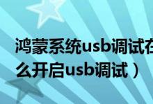 鴻蒙系統(tǒng)usb調(diào)試在哪發(fā)送通知（鴻蒙系統(tǒng)怎么開啟usb調(diào)試）