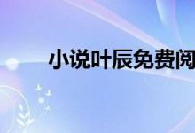 小說(shuō)葉辰免費(fèi)閱讀全文(小說(shuō)葉辰)