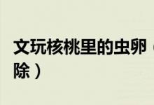 文玩核桃里的蟲(chóng)卵（文玩核桃里的蟲(chóng)卵怎么去除）