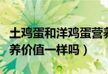 土雞蛋和洋雞蛋營(yíng)養(yǎng)差別（土雞蛋和洋雞蛋營(yíng)養(yǎng)價(jià)值一樣嗎）