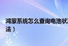 鴻蒙系統(tǒng)怎么查詢電池狀況（鴻蒙系統(tǒng)怎么查詢使用時間方法）