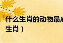什么生肖的動物最威風(fēng)（最威風(fēng)的動物是什么生肖）