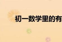 初一數(shù)學(xué)里的有理數(shù)知識點有什么？
