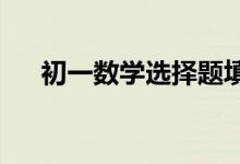 初一數(shù)學(xué)選擇題填空題的解題技巧方法