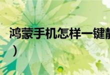 鴻蒙手機(jī)怎樣一鍵靜音（鴻蒙系統(tǒng)怎么調(diào)靜音）