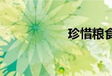 珍惜糧食手抄報(bào)初一
