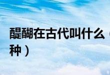 醍醐在古代叫什么(我國(guó)古代所說(shuō)的醍醐是一種)