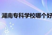 湖南?？茖W校哪個好（排名靠前的大專學校）