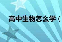 高中生物怎么學(xué)(有哪些實(shí)用學(xué)習(xí)方法)