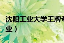 沈陽(yáng)工業(yè)大學(xué)王牌專業(yè)是什么(有哪些優(yōu)勢(shì)專業(yè))