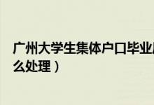 廣州大學(xué)生集體戶(hù)口畢業(yè)后怎么辦(大學(xué)集體戶(hù)口畢業(yè)后怎么處理)