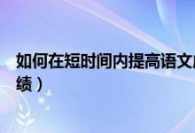 如何在短時間內(nèi)提高語文成績（如何在短時間內(nèi)提高語文成績）