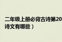 二年級(jí)上冊(cè)必背古詩(shī)第20首(人教版二年級(jí)下冊(cè)語(yǔ)文必背古詩(shī)文有哪些)