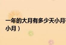 一年的大月有多少天小月有多少天（一年有幾個大月和幾個小月）