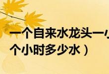 一個(gè)自來水龍頭一小時(shí)放多少水(水龍頭放一個(gè)小時(shí)多少水)