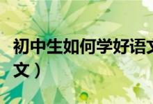 初中生如何學好語文作文（初中生如何學好語文）