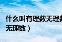 什么叫有理數(shù)無理數(shù)的定義（什么叫有理數(shù)和無理數(shù)）