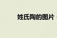 姓氏陶的圖片(姓氏陶怎么介紹)