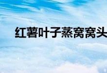 紅薯葉子蒸窩窩頭（蒸窩頭要多長時間）