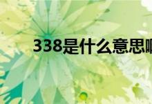338是什么意思?。?38是什么意思)