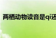 兩棲動(dòng)物讀音是qi還是xi（兩棲讀qi還是xi）