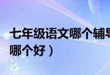 七年級(jí)語(yǔ)文哪個(gè)輔導(dǎo)書好(七年級(jí)語(yǔ)文輔導(dǎo)書哪個(gè)好)