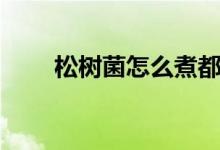 松樹(shù)菌怎么煮都好吃（松樹(shù)菌做法）