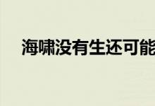 海嘯沒(méi)有生還可能嗎(海嘯產(chǎn)生的危害)