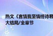 熱文《言情我至情終待君歸魏時(shí)錦霍衍》佚名開全文閱讀/大結(jié)局/全章節(jié)
