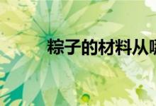 粽子的材料從哪買（粽子的材料）