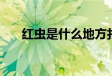 紅蟲是什么地方打撈的(紅蟲是什么)