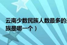 云南少數民族人數最多的是什么族（云南人口最多的少數民族是哪一個）