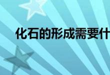 化石的形成需要什么條件（化石的形成）