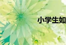 小學(xué)生如何學(xué)好數(shù)學(xué)？