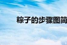 粽子的步驟圖簡筆畫（粽子的步驟）