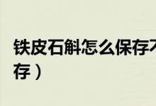 鐵皮石斛怎么保存不會變色（鐵皮石斛怎么保存）