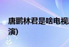 唐鵬林君是啥電視劇(唐鵬和林君分別由誰(shuí)飾演)