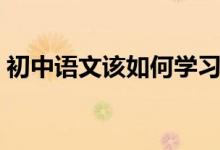初中語文該如何學(xué)習(xí)（初中語文該如何學(xué)習(xí)）