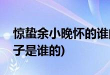 驚蟄余小晚懷的誰的孩子(驚蟄余小晚懷的孩子是誰的)
