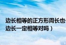 邊長相等的正方形周長也一定相等（周長相等的兩個(gè)正方形邊長一定相等對嗎）